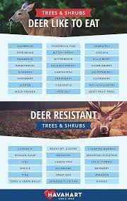 Now you know how to keep deer out of your garden or yard. 17 Solutions To Keep Deer Off Your Property