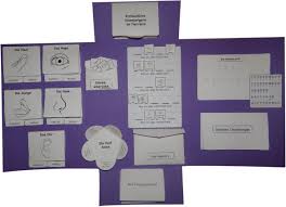 Lapbook vorlagen pdf wir haben 17 bilder über lapbook vorlagen pdf einschließlich bilder, fotos, hintergrundbilder und mehr. Lapbook Die Funf Sinne Lernheft Die Funf Sinne Sinne