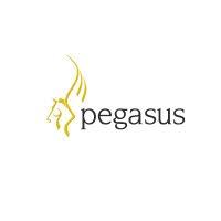 Finance gain a complete overview and analysis of your cash flow Pegasus Software Api Developer Docs Apis Sdks And Auth Api Tracker