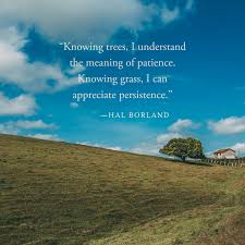 Nature Quotes For The Nature Lover Inspiration Nature Quotes Nature Quotes Inspirational Nature Lover