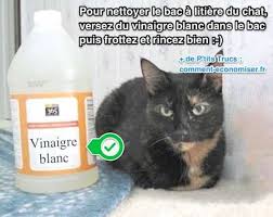 Vinaigre blanc ne desinfecte pas. Facile Et Rapide Comment Nettoyer Et Desinfecter La Litiere Du Chat Avec Du Vinaigre Blanc Comment Nettoyer Vinaigre Blanc Nettoyant