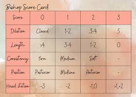 Image result for Bishop Score