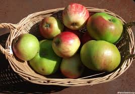 Garden designer and fruit expert colby eierman's fruit trees in small spaces (timber press, 2012) shows how trees can easily be tucked into the tiniest spots and still yield a bumper crop of. Fruit Trees And Small Gardens Garden Designer Edible Gardens