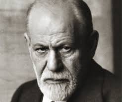 Bard Lifetime Learning Institute