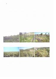 Aspectos ecológicos y técnicas de control del combustible... Manuel Jaime  Baeza Berná. Tesis doctoral de la Universidad de Al