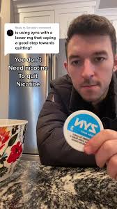 Exploring Zyn: A Year Later