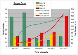 Using The Right Fertilizers In Order To Provide The Sugar