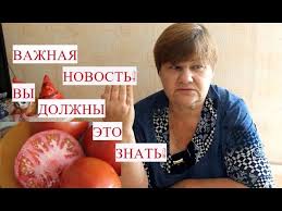 юлия миняева во саду ли в огороде новое 2019 Vnimanie Vy Dolzhny Eto Znat Vazhnaya Novost Youtube
