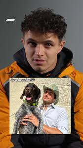 Without a doubt, the greatest purple sectors we saw all day 😅💜🦎 #F1  #Formula1 #SingaporeGP