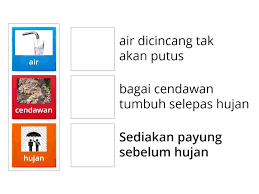 Maksud peribahasa bagai cendawan tumbuh selepas hujan. Peribahasa Match Up