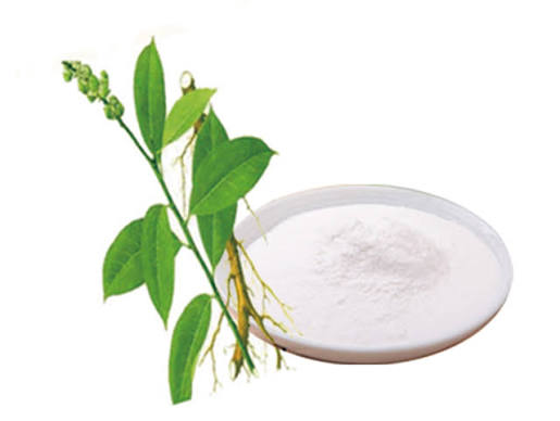 trilobatin for sweeter is from the Lithocarpus litseifolius Chun