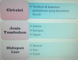 Tumbuh di kawasan pinggir laut berlumpur, terlindung dan ditenggelami air semasa air pasang. Hutan Paya Geografi Tingkatan 1
