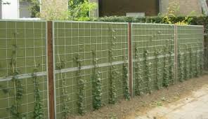 Noistop Green Rockdelta Paysage Sonore Piscine Et Jardin Cloture Vegetale