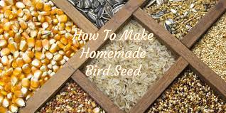 Homemade Bird Seed How To Make Nutritious Low Cost Feed At Home