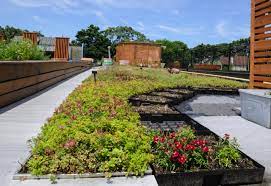 Professional greenroof system development from green roof technology, a design and consulting firm specializing in development of green roof systems the composition of these boards comes in a variety of materials and water holding capacities to meet any number of weight, insulation, and water. Green Roof Products Permaroof Uk Epdm Roofing Supplies