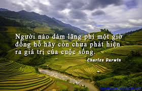 Hình ảnh có liên quan