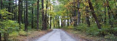 It is a budget deluxe hotel in mussoorie which overlooks an unparalleled and unrestricted view of the lush green mountains, the. Camel S Back Road Mussoorie Haridwar Rishikesh Tourism