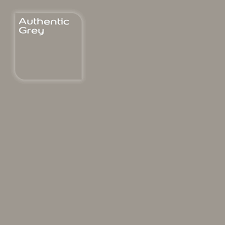flexa creations kleur authentic grey klik op de foto om een flexa kleurtester in deze kleur te bestellen vooraf de kl verfkleur verfkleuren muurverf kleuren