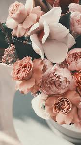 See more ideas about rose gold lockscreen, selfie poses instagram, cute wallpapers. Rose Gold Lockscreens Explore Tumblr Posts And Blogs Tumgir