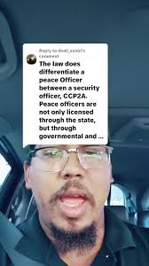 Professional Licensing Peace Officer Program