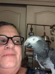 Some experiments end in failure. Others end in deliciousness! Merry  Christmas to Tim, his fam and this great Cultmunity!!!! 😍🎅🏻🎄🎁❤️