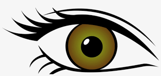 Optical Clipart Contact Lense Eye Clipart Transparent Background Free Transparent Png Download Pngkey Download free eye png images. optical clipart contact lense eye
