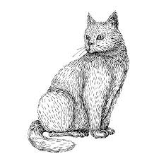 365 dessin kawaii personnage facile 3654712 3685354 3815950 4051808 4202954 4219585 4219722 4219744 4222784 4249303 a4/a3 about accroître added: Chat Dessin Imagenes Y Fotos 123rf