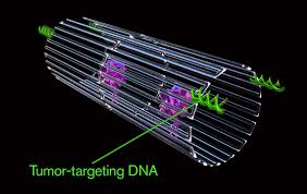 I have bought inulation foam and completly entraped it in a small section of the wall. Fully Autonomous Dna Nanorobots Target And Starve Tumors In Mice