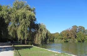 Die gemütlichen, traditionellen gasträumen bieten das ganze jahr raum für gruppen bis zu 220 personen. Der Kleinhesseloher See Bootsverleih Im Englischen Garten
