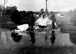 Buenos Aires Nieve En El Rosedal De Palermo 1918 Fotos Antiguas Buenos Aires Argentina Ciudad De Buenos Aires