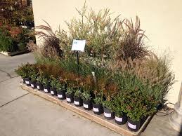 With a gift card, you can brighten up someone's home, office, or garden with a potted plant of their choice. Santa Clara Summerwinds Nursery California