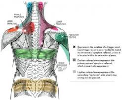 Kwmassage Trigger Points And Trigger Point Therapy