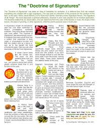 Recipes And Tips To Fight M S The Doctrine Of Signatures Daniel Fast Diet Health Food Nutrition