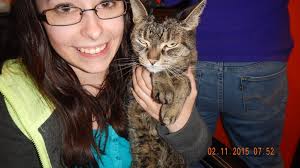 Adopted female cat settles into new family