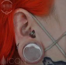 Image result for Tragus koelerioides