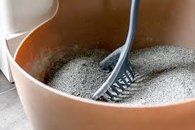 Add cat attract to the litterboxes. Reasons Why Cats Poop Outside The Litter Box And How To Stop It