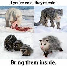 Check spelling or type a new query. Psu If You Re Cold They Re Cold Bring Them Inside Edmonton