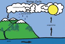Just In Case I End Up Teaching Middle Grades Science Trying To Build Up Some Resources Water Cycle Water Cycle Diagram Water Cycle Lessons