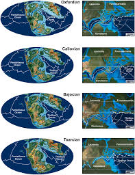 Image result for Ondo Blue 1990 Tracer