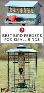 Best Bird Feeders For Small Birds Uk 7 Best Bird Feeders For Small Birds In My Backyard 2019 Smallbirds Best Bird Feeders