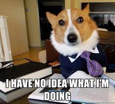 Image 305231 I Have No Idea What I M Doing Know Your Meme