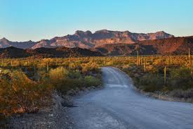 Proctor valley road is published by boom! Driving And Biking Organ Pipe Cactus National Monument U S National Park Service