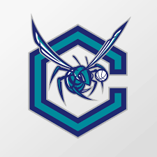 Charlotte Hornets Logo Concept On Behance