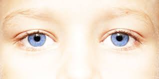 In this post, true eye experts goes in depth on eye color and abnormalities. If You Have Blue Eyes They Re Actually Brown And You Just Don T Realize It
