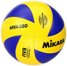 Image result for volleyball