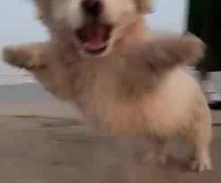 주말 개신나⚡️