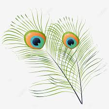 All peacock feather clip art are png format and transparent background. Feather Jewelry Peacock Feather Feather Peacock Feather Png Transparent Clipart Image And Psd File For Free Download