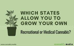On january 1, 2021, two new laws that clarify tax laws related to the state's legitimate cannabis industry, entered into force in california. Which States Allow You To Grow Your Own Recreational Or Medical Cannabis Cannabiz Media