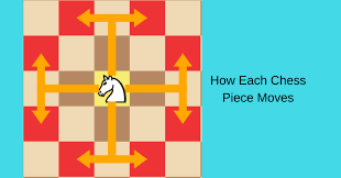 We did not find results for: Chess Piece Names How They Move Downloadable Cheat Sheets