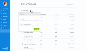 Introducing Chart Of Accounts General Ledger And Trial